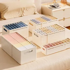 منظم تخزين storage organizer