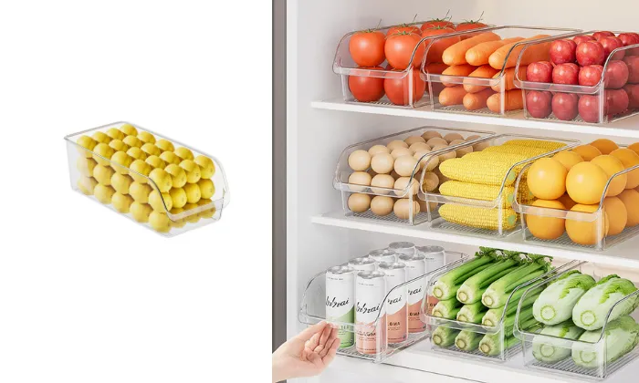 Bolan Transparent Food Storage Box
