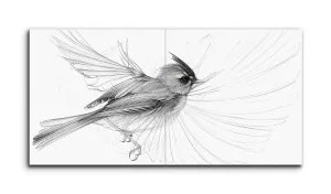 Graceful Bird in Flight: Timeless Black & White Sketch