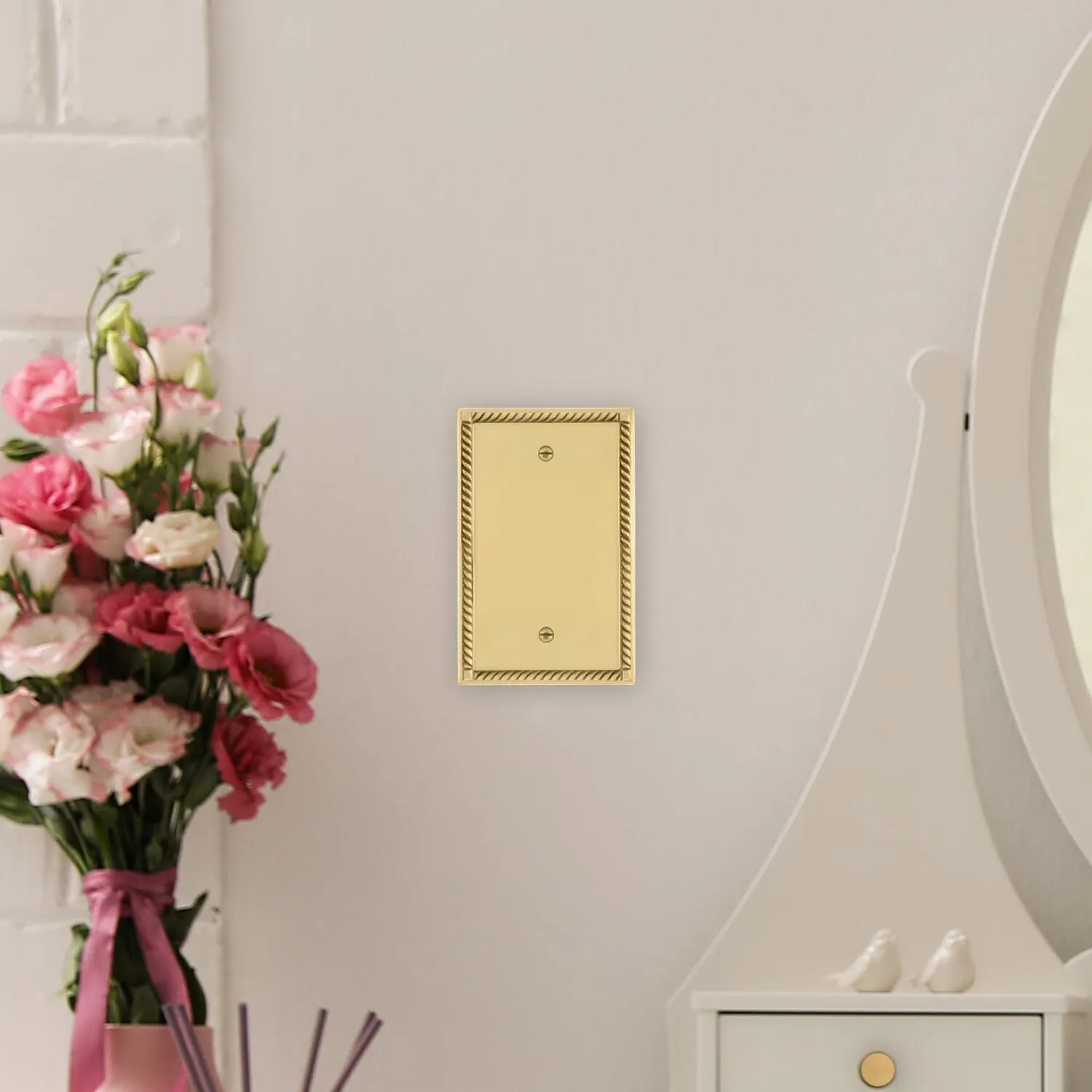 Rope Switch Plate with Blank Cover in Polished Brass