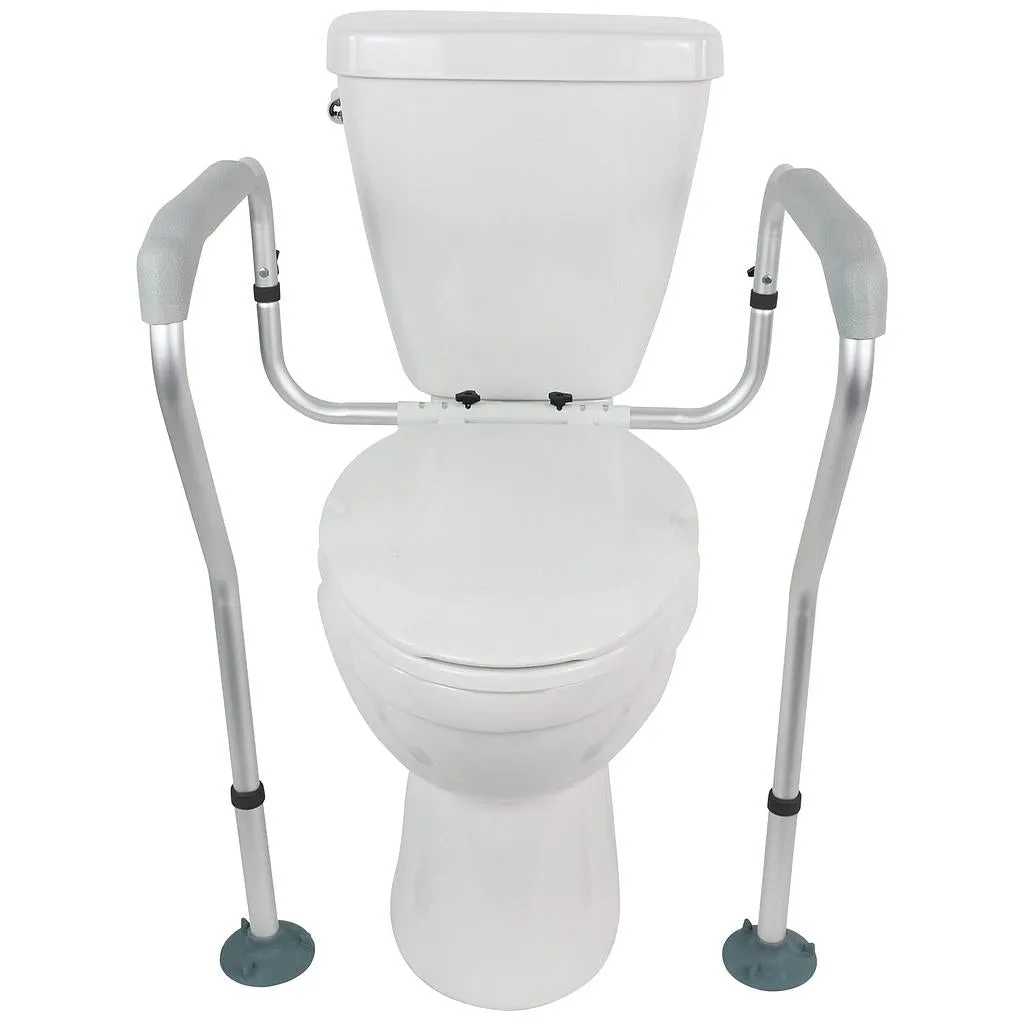 Vive Toilet Safety Rail