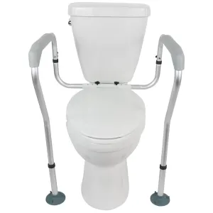 Vive Toilet Safety Rail